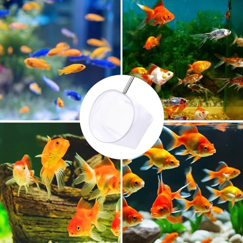 4 Inch Aquarium Net, Fish Net for Fish Tank with 8.6" to 39" Long Extendable Stainless Steel Handle Blue Round Small Aquarium Fine Mesh Shrimp Nets Pond Food Residue Debris Skimming for Fishes Shrimp