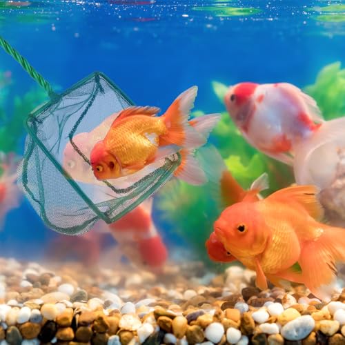 Aquarium Fish Net, 4 Pack, 4 Sizes (3in, 4in, 5in, 6in) | Quick Catch, Mesh Nylon, Square Fish Nets, With Handle
