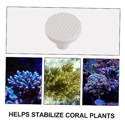 BESPORTBLE 10pcs Ceramic Breeding Base Plugs Coral Base Aquarium Plants Decor Supports