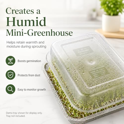 Acrylic Lids for Microgreens Growing Trays 2-Tier 10.4 Inch | Clear Replacement Covers for Seed Germination and Sprout Growing, Helps Retain Humidity; Trays Not Included - size: 10.7"L × 7.87"W × 2.17"H Lid