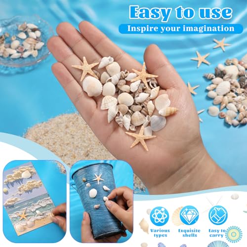 1200 Pcs Tiny Sea Shells, Seashells for Crafts with Small Shells Starfish Mixed Ocean Beach Spiral Seashells for Beach Party, Fish Tank and Vase Filler, Wedding Decor, Diy Jewelry Candle Making