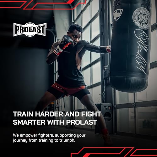 Wrecking Ball Heavy Punching Bag for Adults, Hook and Uppercut, Body Snatcher, Boxing, MMA, Muay Thai, 65 lbs, Classic - color: Red / Black, style: Filled