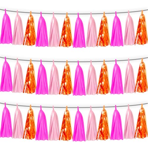 3P Hot Pink Orange LightPink Tassel Banner Garland Foil Fringe Tinsel Streamer Banner Backdrop for Parade Floats, Wall Hanging Curtain Parade Floats, Graduation Decorations, Wedding Party Decoration - color: Hot Pink Orange LightPink