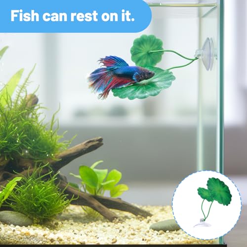 2Pcs Fish Feeding Ring, 2 Feeding Ring for Tank with 1pcs Betta Fish Live Plant, Betta Feeder for Aquarium Decor, Goldfish Tank Accessories
