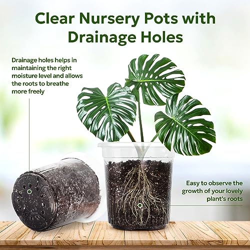 Bluepro Clear Nursery Pots with Drainage Holes, 7 Inch, 1 Gallon, 30-Pack | Clear PET, 1-Gallon Capacity, Root and Moisture Visibility, Flexible, Reusable, Indoor/Outdoor Use, Propagation and Repotting - size: 7 Inch-30Pcs
