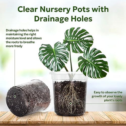 Bluepro Clear Nursery Pots with Drainage Holes, 7 Inch, 1 Gallon, 30-Pack | Clear PET, 1-Gallon Capacity, Root and Moisture Visibility, Flexible, Reusable, Indoor/Outdoor Use, Propagation and Repotting - size: 7 Inch-30Pcs