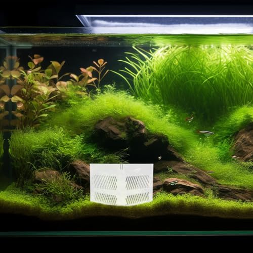 Fish Tank Partition Grid Board Acrylic Aquarium Isolation Pump Guards Single Layer Divider for Home Aquarium Filtration and Gravel Separation