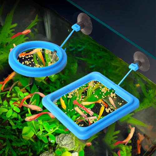 2lots Durability Silicones Feeding Frames Practical Round Floating Food for Various Aquariums Shape Durability Feeders - color: Black, size: D