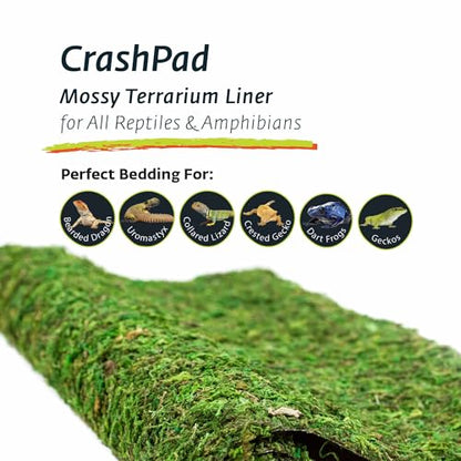 Galápagos (05094) CrashPad, Mossy Terrarium Liner, Natural, 18 x 36 in