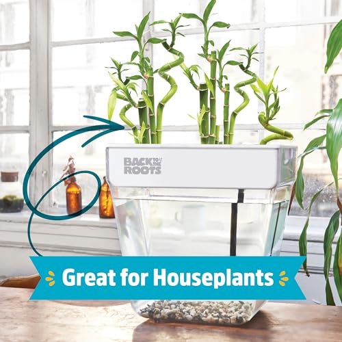 Back to the Roots Indoor Aquaponic Garden - 3 Gallon Self Watering, Mess-Free Planter and Self-Cleaning Fishtank for Herbs, Microgreens, Bamboo, Succulents, and Houseplants, support Fish - size: Deluxe, style: Aquaponic Fish Tank