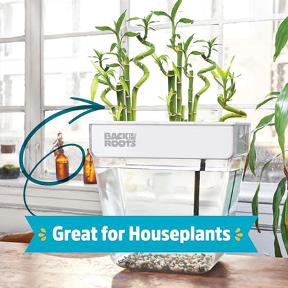 Back to the Roots Indoor Aquaponic Garden - 3 Gallon Self Watering, Mess-Free Planter and Self-Cleaning Fishtank for Herbs, Microgreens, Bamboo, Succulents, and Houseplants, support Fish - size: Deluxe, style: Aquaponic Fish Tank