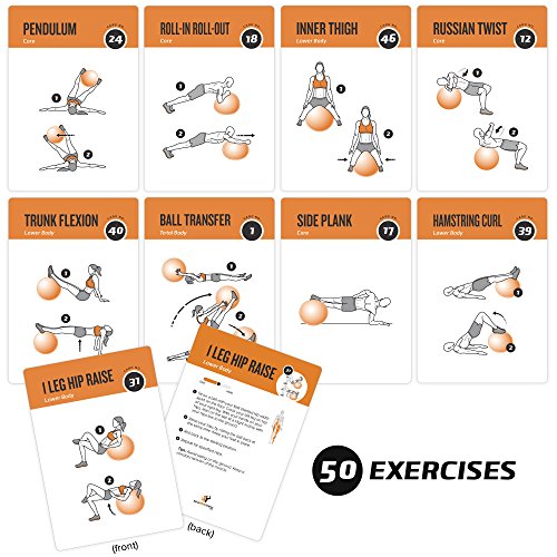 NewMe Fitness Stability Workout Cards - Instructional Fitness Deck for Women & Men, Beginner Fitness Guide to Training Exercises at Home or Gym - style: Stability