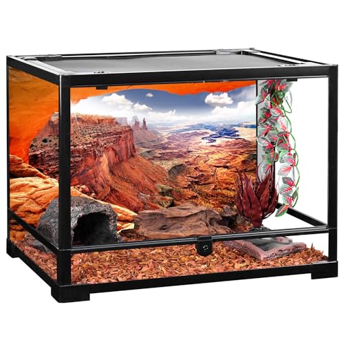 AWERT Stone Reptile Habitat Background Sky Oasis Mountain Cactus Sun and Desert Terrarium Background 72x24 inches Polyester Background - size: 72x24in/180x60cm