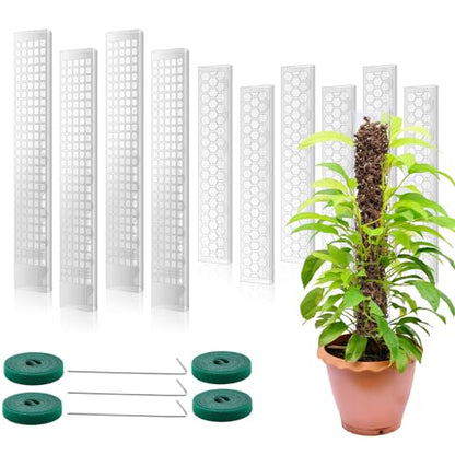 10 Pieces Plastic Moss Pole for Monstera Including 4 Pcs 24 Inch Clear Plant Poles for Indoor Climbing and 6 Pcs 15 Inch D Shape Stackable Plant Support Kit Work with Sphagnum Moss