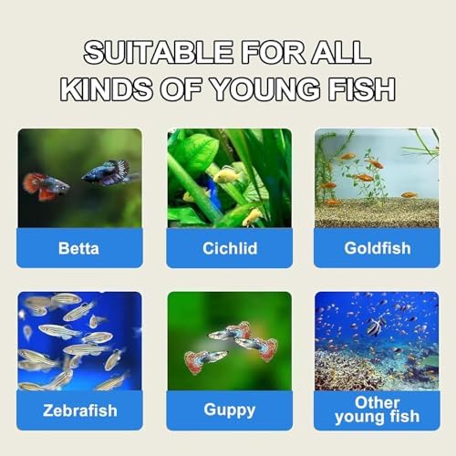 Bubble Magus Brine Shrimp Eggs/sea Monkey Eggs/Live Fish Food/Fairy Shrimp Egg Artemia high Protein Fish Food for brine Shrimp Hatchery 、 Clownfish Food 、 Reef roids Coral Food 、Feeder Guppies、beta - size: 1 Ounce (Pack of 1)