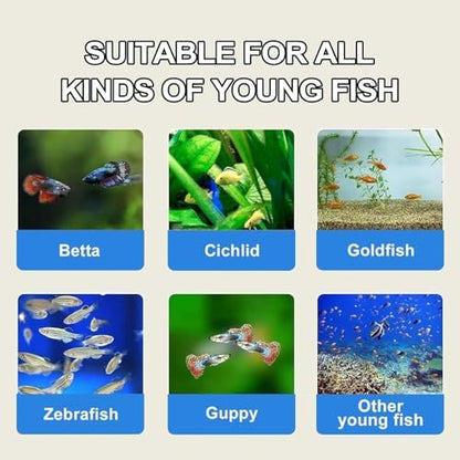 Bubble Magus Brine Shrimp Eggs/sea Monkey Eggs/Live Fish Food/Fairy Shrimp Egg Artemia high Protein Fish Food for brine Shrimp Hatchery 、 Clownfish Food 、 Reef roids Coral Food 、Feeder Guppies、beta - size: 1 Ounce (Pack of 1)