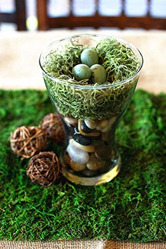 Roll of Green Moss for Fairy Gardens Wedding Other Arts and Crafts (10x120cm (4" W x 48" L)) - size: 10x120cm (4" W x 48" L)