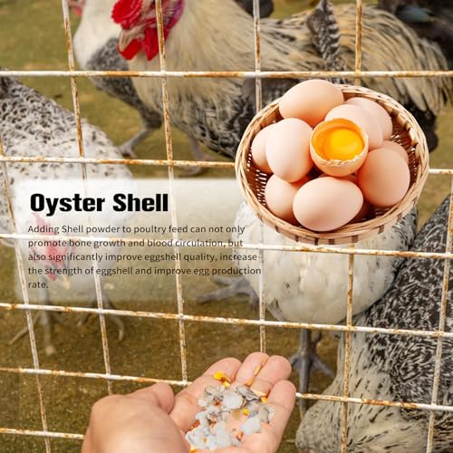 QEQEKAKA Crushed Oyster Shells About 2LB (880g/31OZ) Contains Calcium Small Natural Crushed Shells Bulk