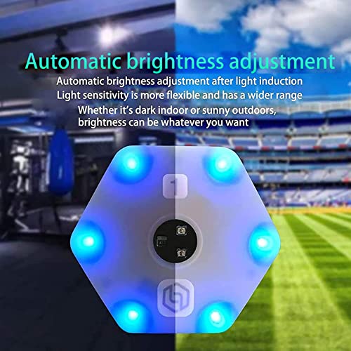 Reaction Training Light lamp Speed Agility Response Equipment Basketball Boxing fencingPhysical Rehabilitation of Flash