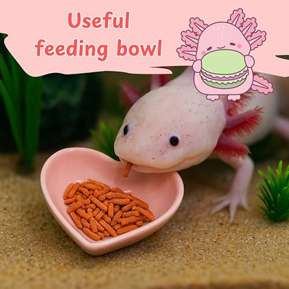 Axolotl Hammock for Aquarium and Ceramic Feeding Dish, Axolotl Hammock, Reptile Triangle Hammocks with Tray Feeder, Axolotls Accessories for Tank, Bearded Dragon Tank Accessories (Black, M) - size: M