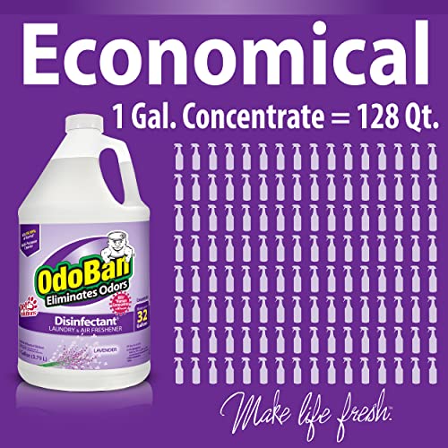 OdoBan Ready-to-Use Disinfectant and Harsh Aroma Eliminator, Set of 2, 14.6 Ounce 360-Degree Continuous Spray Fabric/Air Freshener and 1 Gallon Multi-Purpose Cleaning Concentrate, Lavender Scent - size: 71.3 Fl Oz (Pack of 2)