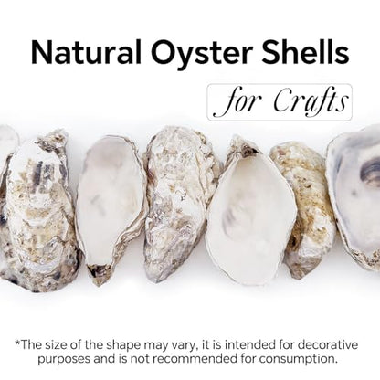 20PCS 4"-5" Large Oyster Shells for Crafts, Concave Shells, Premium Natural Seashells, Cleaned & Odorless Craft Oyster Shells for Painting, DIY, Wedding Decor, Decoupage, Art Projects - size: Large 4"-5" 20pcs