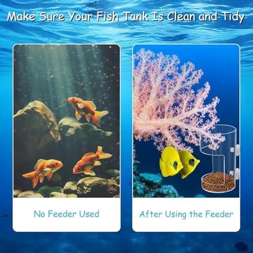 Transparents Fish Food Dispenser Rings Nonslip Aquariums Feeders Rings Essential Fish Feeding Supply Slow Sinking Food Feeders - color: square1