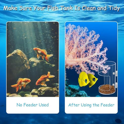Transparents Fish Food Dispenser Rings Nonslip Aquariums Feeders Rings Essential Fish Feeding Supply Slow Sinking Food Feeders - color: square1