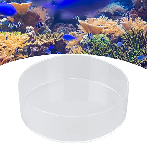 Coral Observe Lense Transparent Acrylic Fish Tank Cylinder Magnifier for Viewing Coral and Taking Pictures
