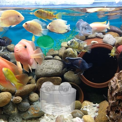 HEMOTON 4pcs Acrylic Fish Feeding Cups with Suction Cup Set, Aquarium Feeder Bowls for Red Worms and Shrimp, Sturdy Fish Tank Food Containers for Aquarium Accessories