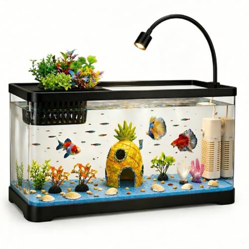 5 Gallon Fish Tank Aquarium Starter Kit with Filter and Light(Large Black) - color: Black, size: 5 Gallon