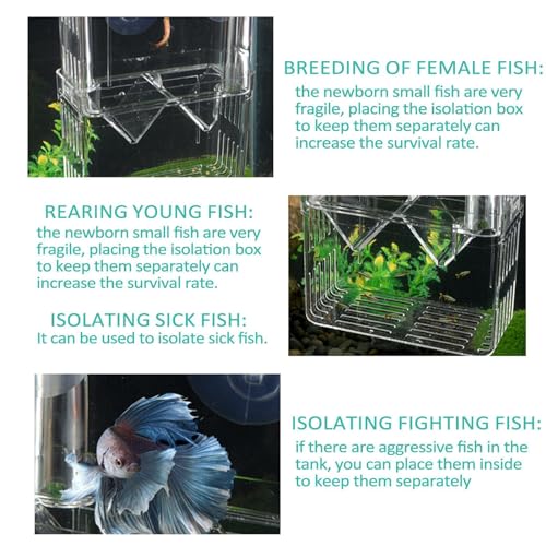 1/2 Fish Breeding Box - Aquarium Breeder Box, Fish Acclimation Box with 2 Suction Cups | Easily Install Fish Isolation Box, Acrylic Aquarium Hatchery Incubator for Baby Fishes Shrimp Betta Guppy - size: M