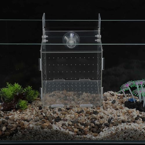 Fish Breeder Box for Fish Tank, Acrylic Fish Tank Divider, Easy to Install, 5.91"x5.91"x5.91", Clear, 1 Set - size: 5.91"x5.91"x5.91"