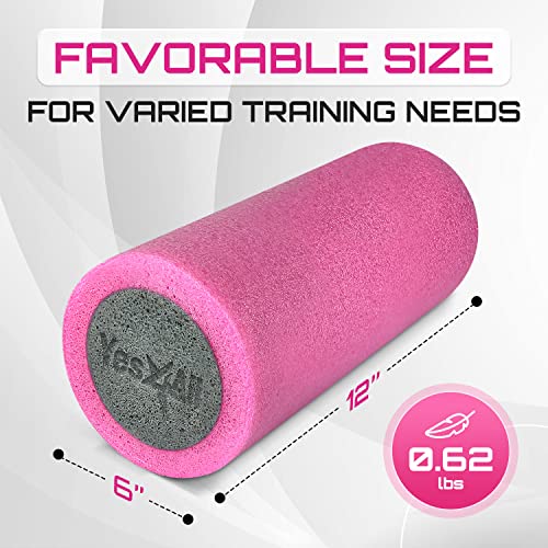 Yes4All High-Density EPP Round Back Roller Foam, Exercise Foam Roller for Yoga, Pilates & Stretching - 12, 18, 24, 36 inch - color: Pink/Grey