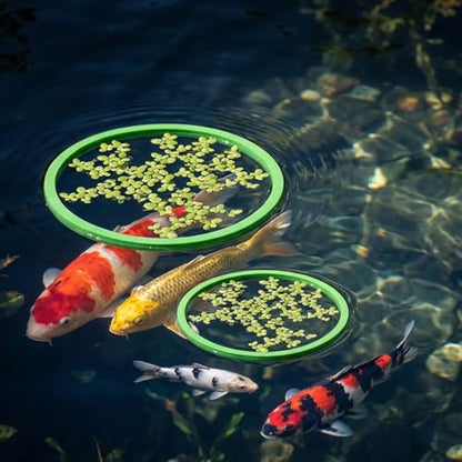 10 Pcs Fish Feeding Ring Set, 5 Sizes Floating Aquarium Feeding Ring, Round Feeder Rings Floating Plant Barrier Corral Rings Tank Accessories for Goldfish, Betta