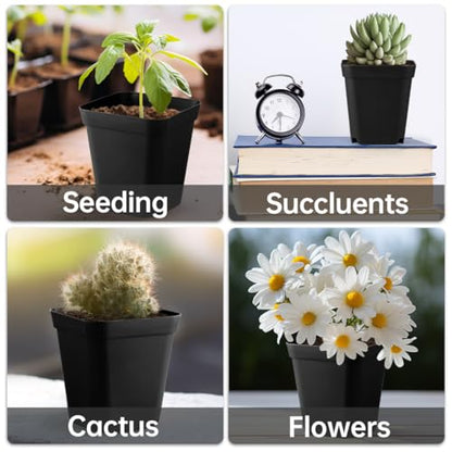 60 Pcs Nursery Pots 2.7 Inch, Plastic Seed Starting Pot with Drainage Holes, Sturdy Seedling pots for Planting, Cuttings (Black) - color: Black, size: 2.7 Inch-60P