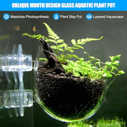 4pcs Glass Aquarium Decor Plant Pot，Crystal Aquatic Plant Pot with Suction Cup, Betta Resting Bed Spot，Aquarium Planter Landscaping Cup with Stones Clip and Tweezers (4pcs Glass Aquarium Plant Pot) - size: 4pcs glass aquarium plant pot