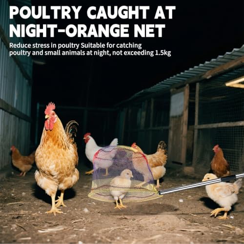 Chicken Net Catcher 3 in 1 Kit with 2 Foldable Nets & Leg Hook Replaceable | Adjustable from 32" to 76" with Thickened Pole丨Humanely Captures for Chicken,Fish,Poultry,Cats,Birds and Animals