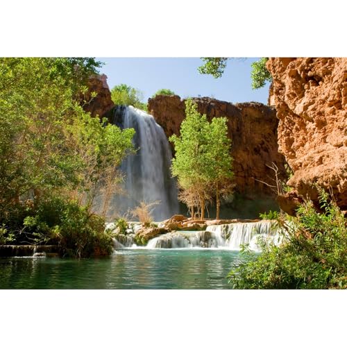 Waterfall Aquarium Background Natural Jungle Forest Landscape Terrarium Background Tranquil Lake Stream Jungle Style Fish Tank Background Mountain Falls Aquarium Backdrop Poster Vinyl 24x12in - color: Pale Green, size: 24(W)x12(H)in