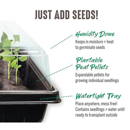 Jiffy Seed Starting Tray Kit - 36 Cell, Bonus 3 Pack, Seeding Starter Kit - 11 x 11 x 4.25 in - Plastic - style: 3 Greenhouse Kit