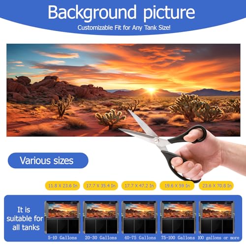 Reptile Background Film, Static Cling, Glue-Free, Desert, 17.7"H×35.4"W | No Glue Static Cling • Spray Water to Apply • Realistic Desert Scene • Natural Terrarium Look • Reusable • Easy Trim - size: 17.7 X 35.4 Inches