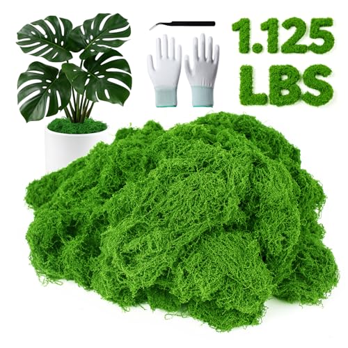 MGLIFEUL 1.125LB Fake Green Moss for Plants Indoor with Gloves and Tweezers | Artificial Faux Moss for Craft DIY Table Centerpieces Living Walls Fairy Garden Indoor Outdoor Home Decorating Model Making - color: Emerald Green, size: 1.125 LBS