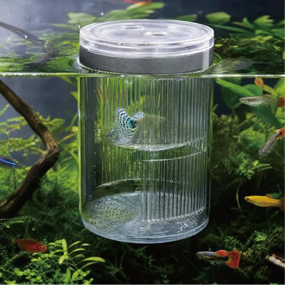 Floating Breeder Box for Fish Tank, Acrylic Baby Aquarium Isolation Box Hatchery Incubator Tank with Suction Cups for Guppy, Betta, Clownfish, Baby Fish, Shrimp & Injured Fish (M) - size: M