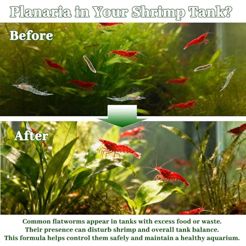 No Planaria & Hydra Support, Aquarium Balance Liquid for Shrimp & Fish | Helps Maintain Tank Stability and Reduce Flatworm-Related Issues, Shrimp-Safe Formula, 60ml
