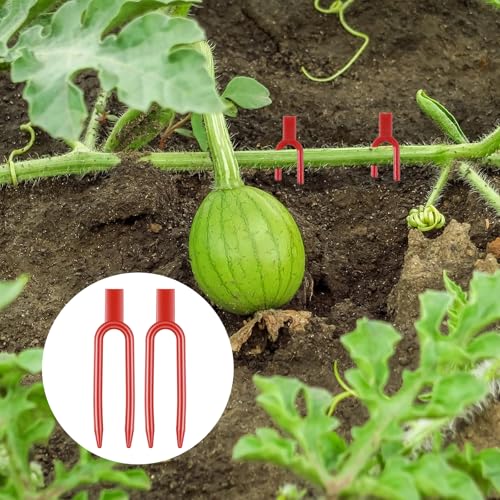 120 PCS Plant Pins for Pothos, Plastic Strawberry Garden Pins, Reusable Plant Pins for Indoor Plants, Strawberry Support Pin Fork Vine Fixing Clips, Garden Fork for Plant Cutting Farming Securing(Red)