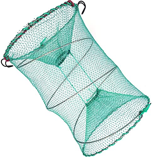 Foldable Fishing Trap for Bait Shrimp Crawfish Minnow Net Portable Accessories 11.8 x 11.8 x 15.7 (30cm x 40cm) 1/4 in Mesh Collapsible Fish Trap - color: 2Pcs