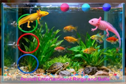Size L 10-Piece Axolotl Habitat Enrichment Set with Hammock, Hideout, Floating Ball, Float Net, Rings, Nylon Mesh, Suction Cup for Fish Tank - size: L