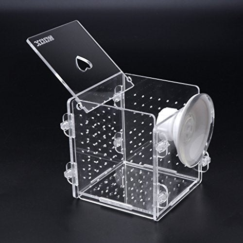Fish Breeding Box Clear Acrylic Fish Isolation Boxes Aquarium Hatchery Incubator with Suction Cup for Newborn Shrimp