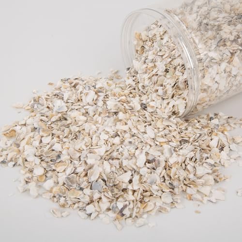 QEQEKAKA Crushed Oyster Shells About 2LB (880g/31OZ) Contains Calcium Small Natural Crushed Shells Bulk