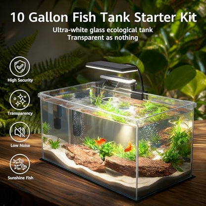 Vimvins 10 Gallon Glass Small Fish Tank with Filter Light and Lid, Aquarium Starter Kit - size: 10 Gallon